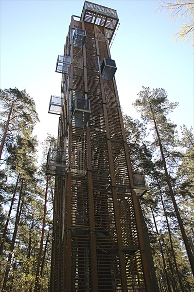 021-Дзинтари, лесопарк, башня